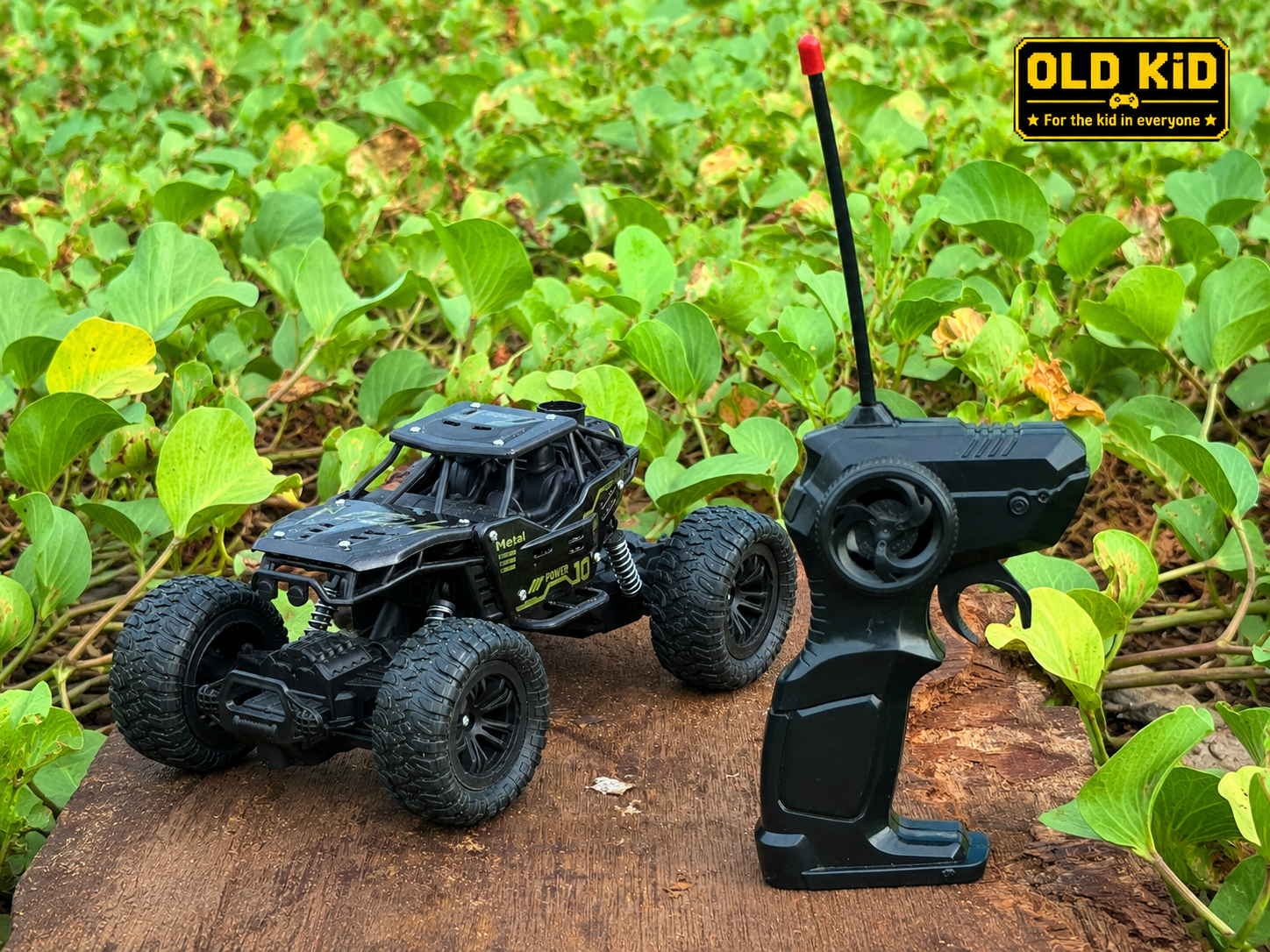 Premium High-Speed RC Car Toy - 2WD Off-Road Monster Truck | Metal