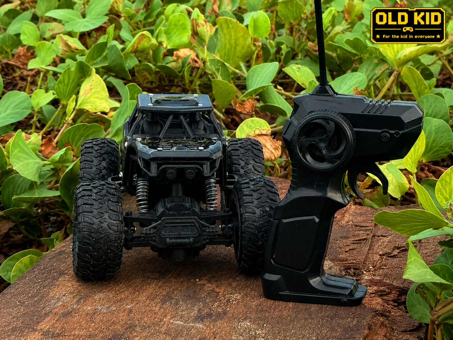 Premium High-Speed RC Car Toy - 2WD Off-Road Monster Truck | Metal