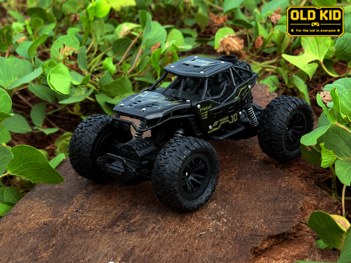 Premium High-Speed RC Car Toy - 2WD Off-Road Monster Truck | Metal