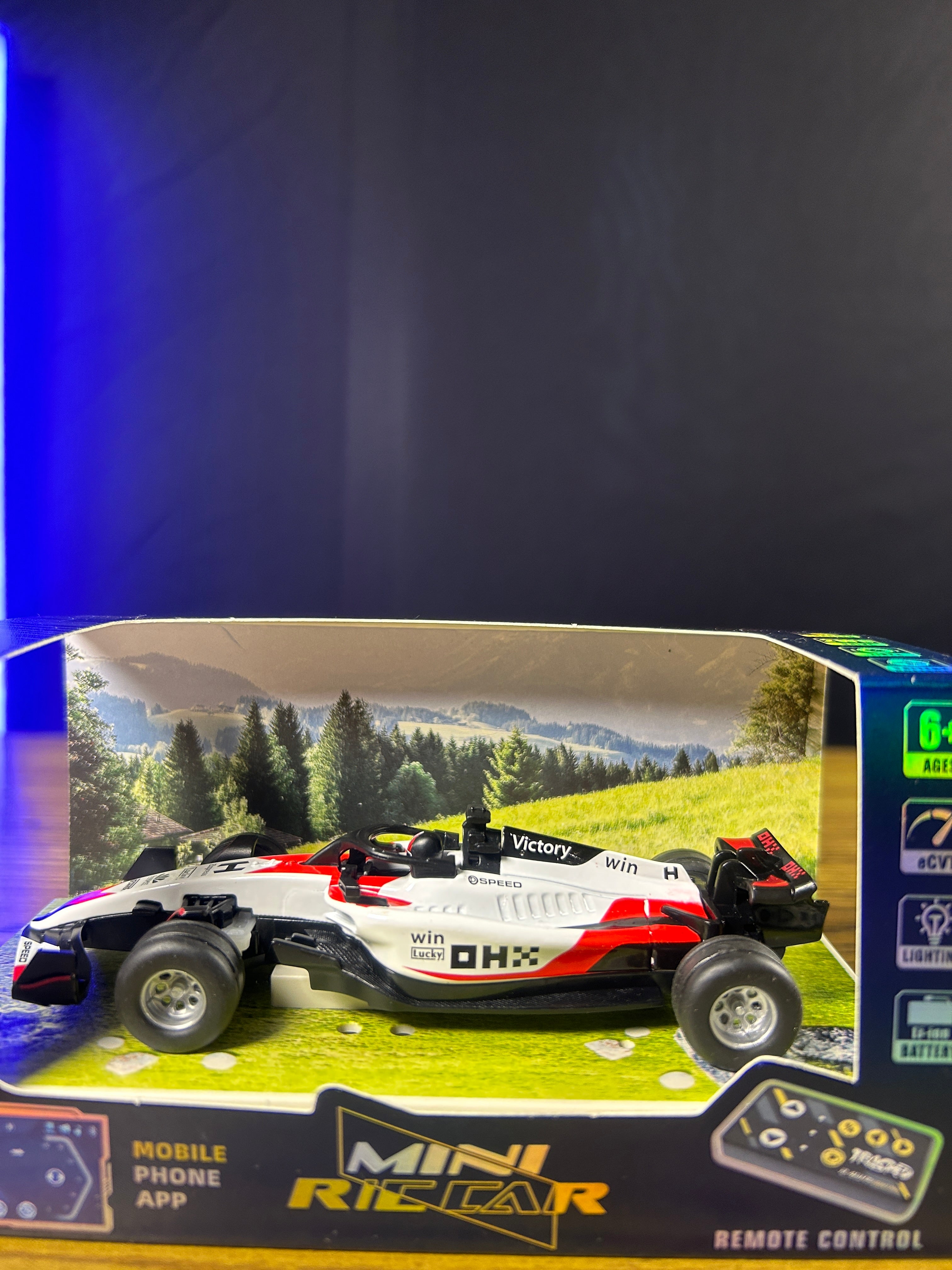 Trasped HG4-292 F1 1:64 Mini RC Car | Remote Control Formula F1 Racing Car